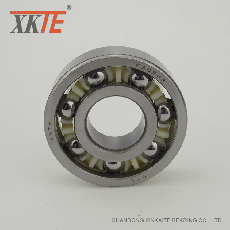 Polyamide Cage Bearing cho Salt Băng tải Roller Components