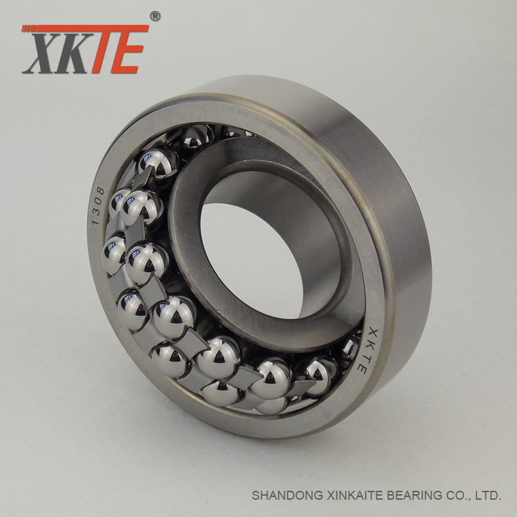 Tự sắp xếp Ball Bearing 1311 cho băng tải Drum