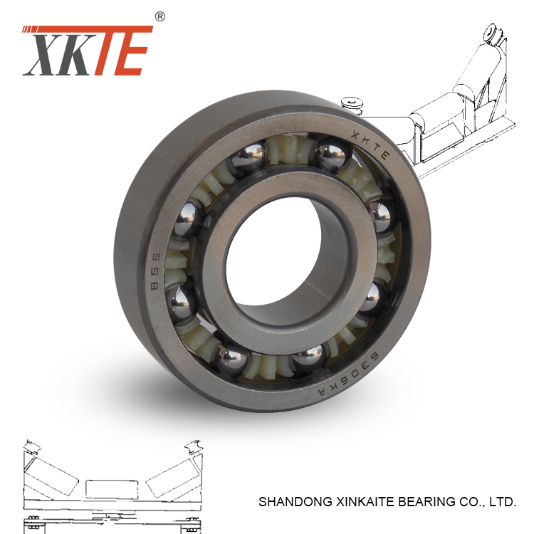 Đúc Nylon lồng Idler Roller Bearing 6306KA / TN9