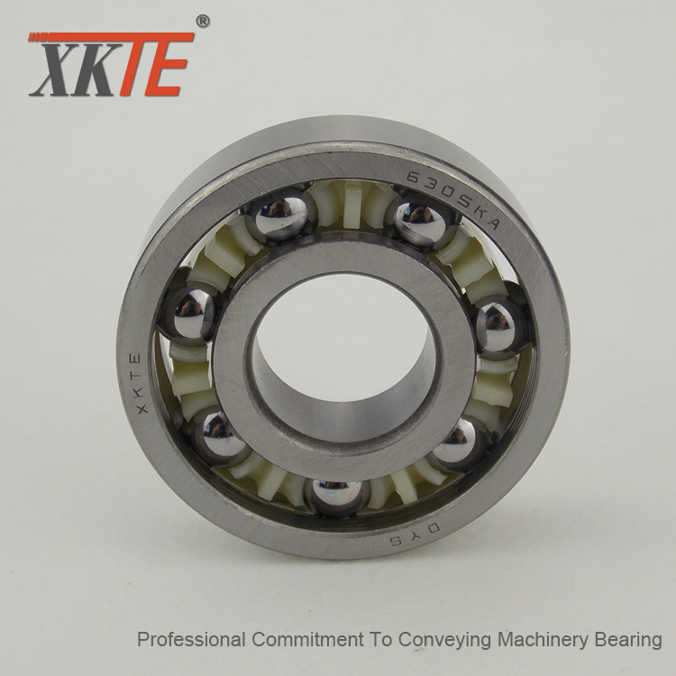 Polyamide Cage Bearing cho hệ thống xử lý vật liệu