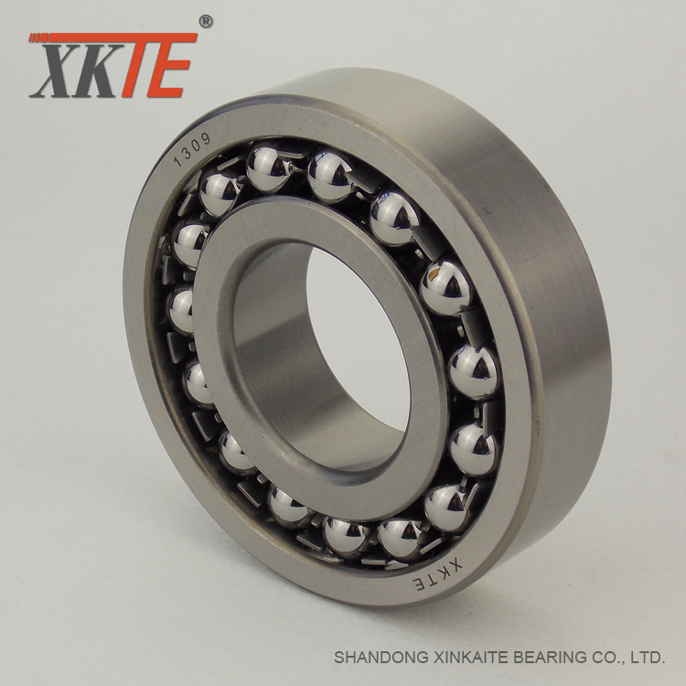 1309 Ball Bearing