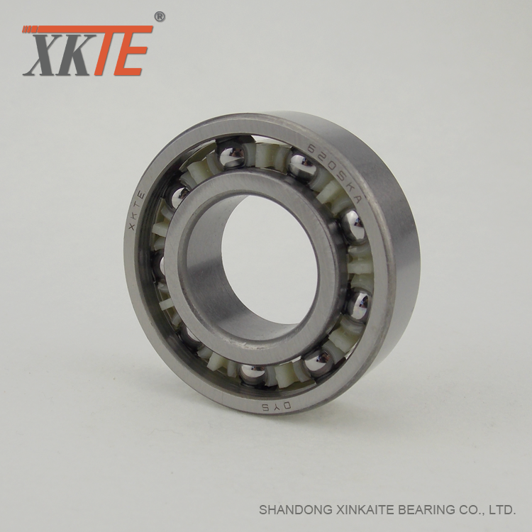 Polyamide Cage BB1B420205 C3 Băng tải Roller Bearing