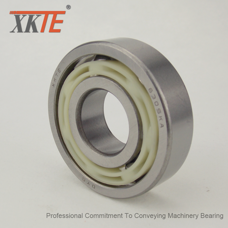 Polyamide Cage Bearing cho Salt Băng tải Roller Components