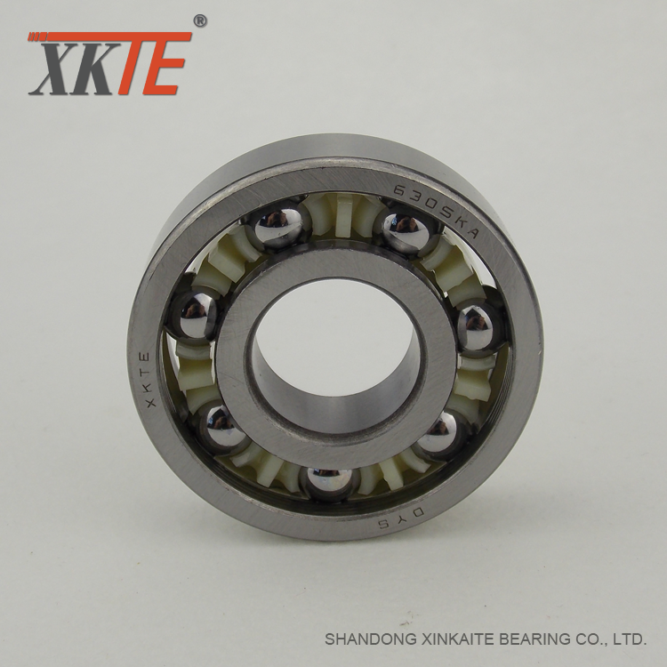 Tăng cường Nylon Bearing cho hệ thống băng tải